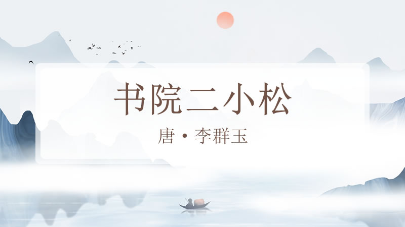 书院二小松